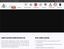 Tablet Screenshot of ameecastor.com